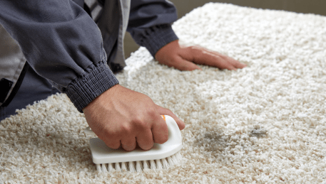Professional Rug Cleaning Strathmore Heights